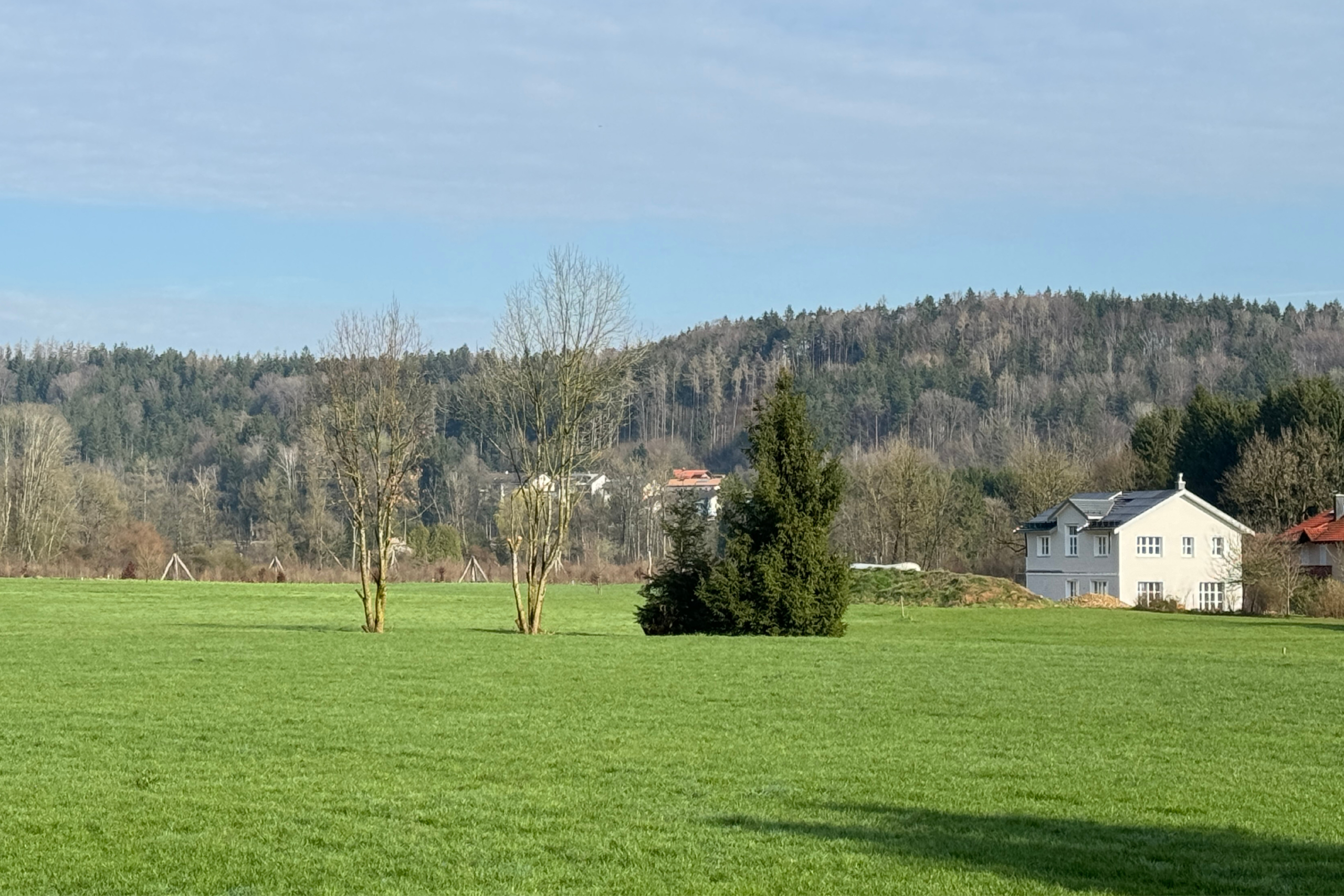 Passivhaus, Holzbau, Neubau